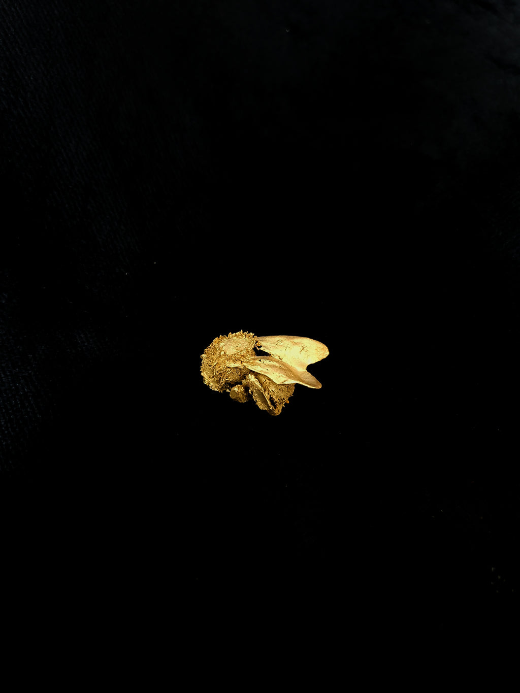 handcrafted Bumblebee brooch on a black background