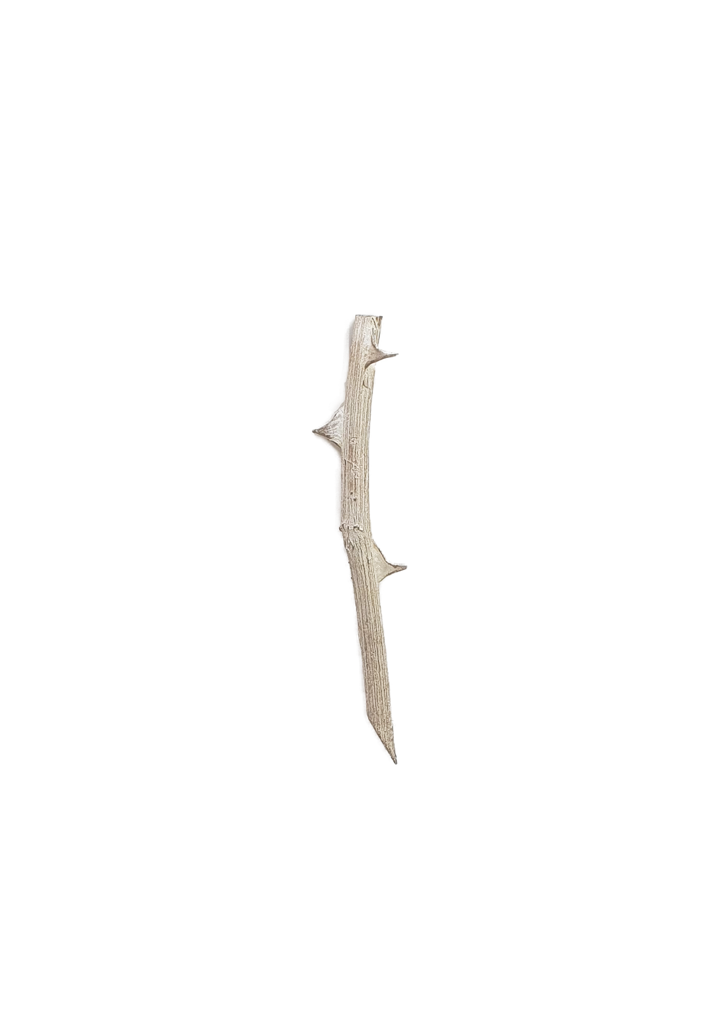 Rosa Brooch